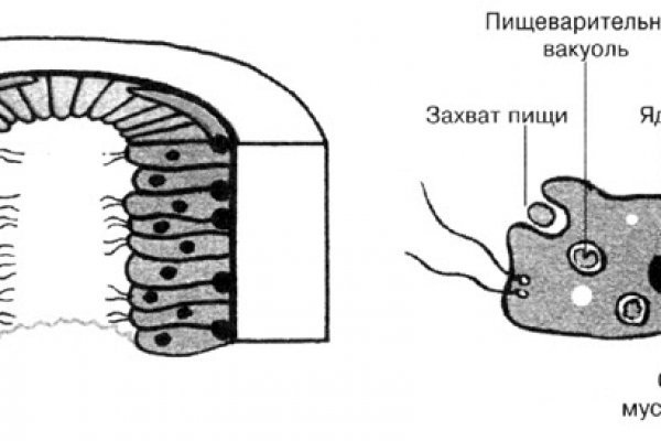 Кракен тор маркет пв