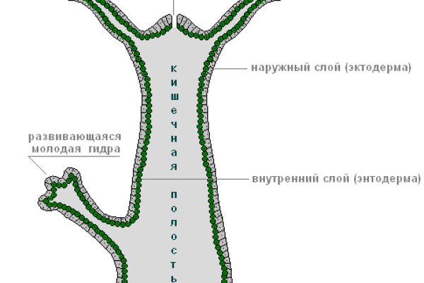 Kraken ссылка актуальная москва