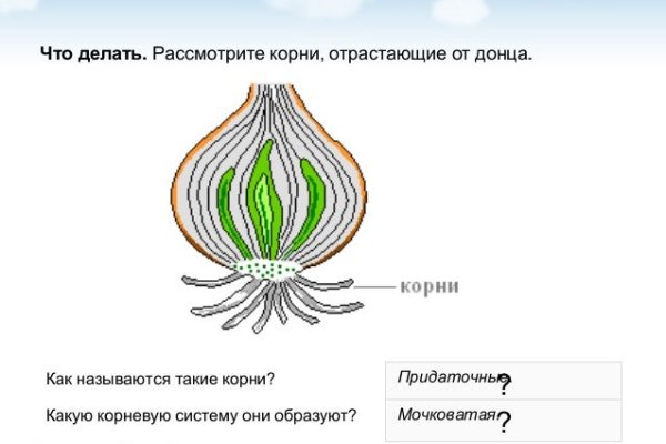 Кракен это сайт vtor run